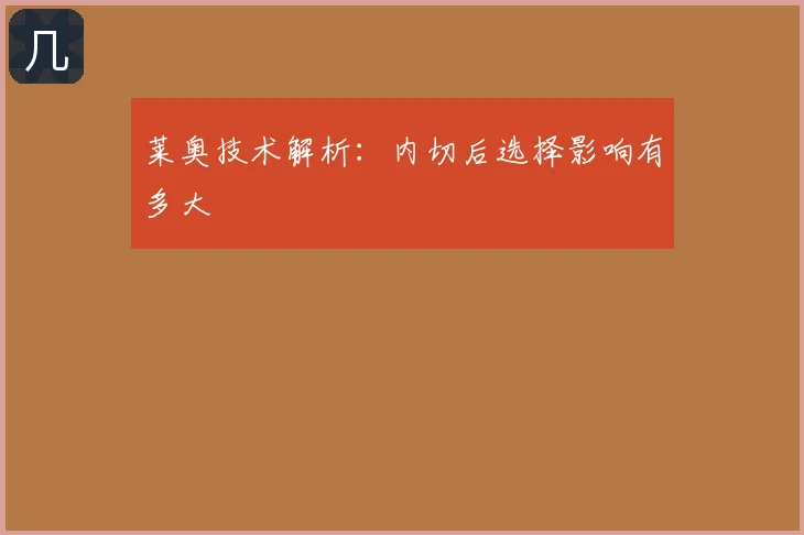 莱奥技术解析：内切后选择影响有多大